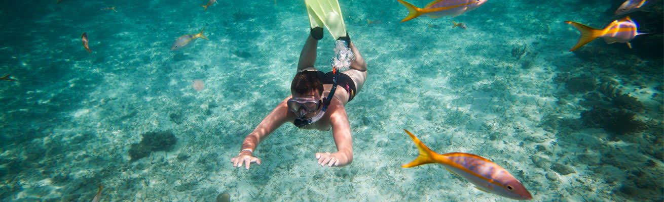 Snorkeling under the water in the Best Snorkeling Spots in Amed