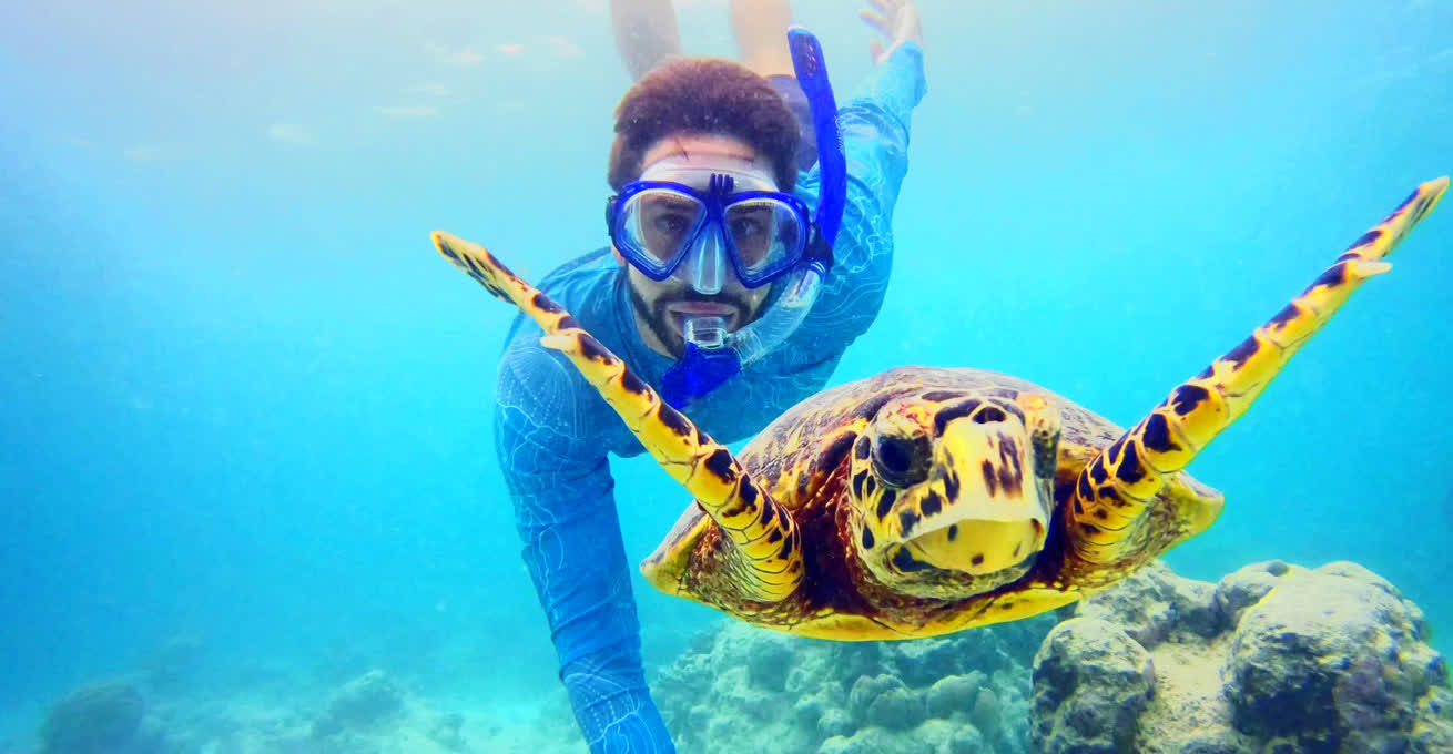 Snorkelling with the turtle in Blue Lagoon Padang Bali