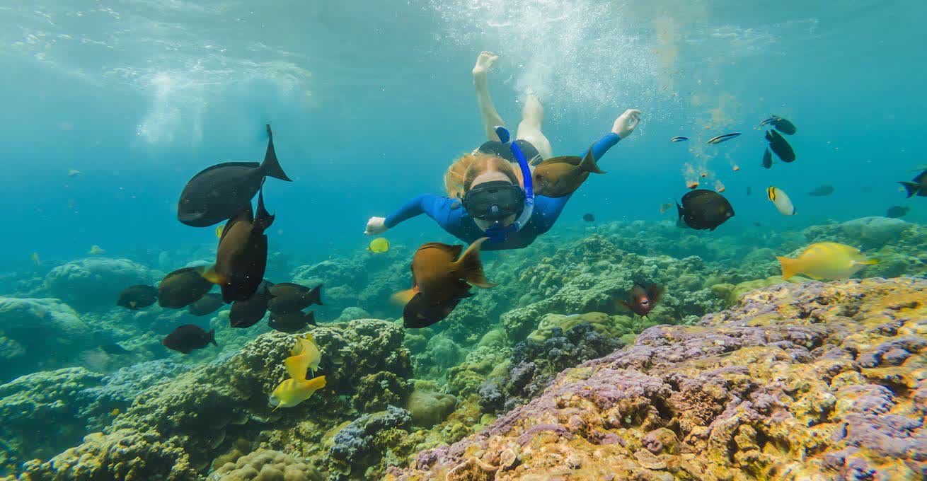 Snorkeling among the fish in the Lipah Beach.
