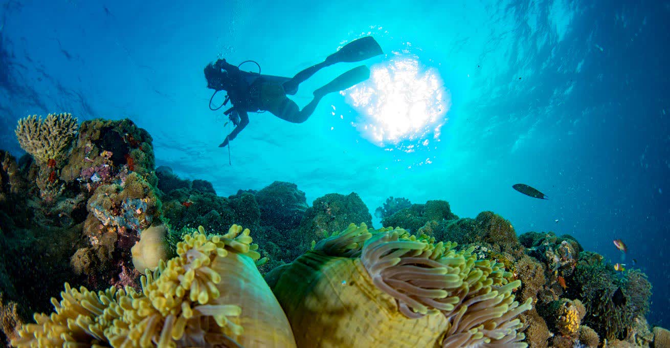 Diver and the beauty of the ocean near Padang Bai