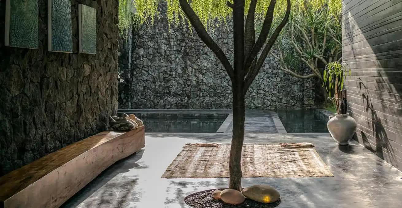 Tree in the center of the courtyard of the Elite Havens villa with a swimming pool and plants