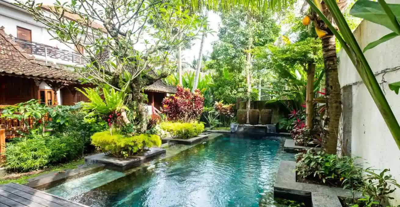 Swimming pool with lots of plants around and houses at Kakul Villa Ubud