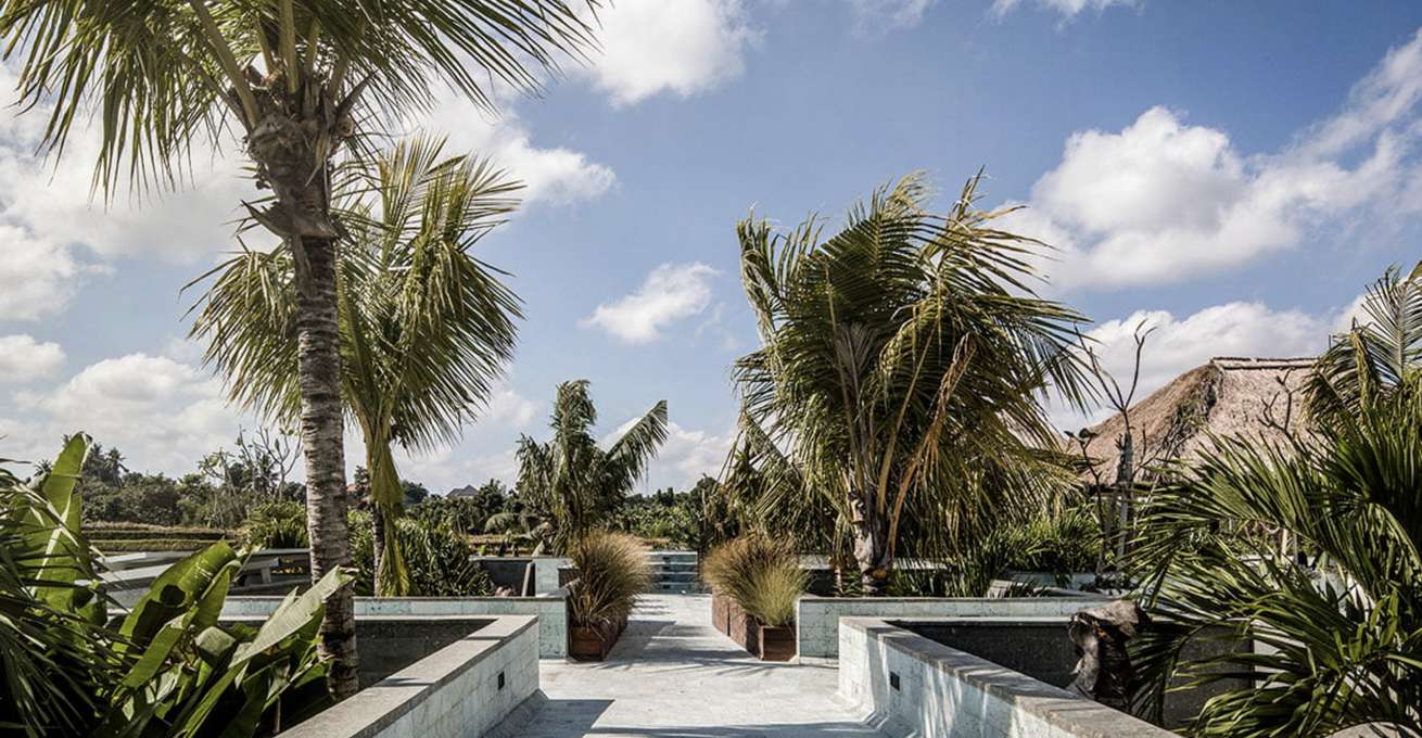 Courtyard with palm trees at Haus Flora